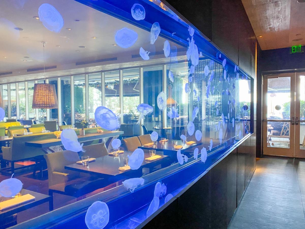W Residences Fort Lauderdale Luxury Suites Across From Fort Lauderdale Beach Buitenkant foto